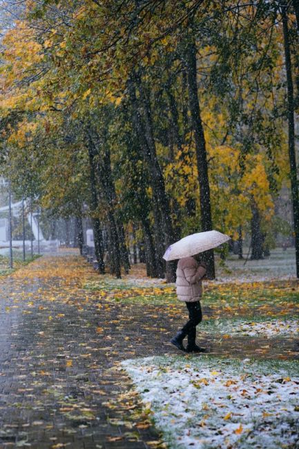 Моменты вчерашнего снегопада в парке Толстого..