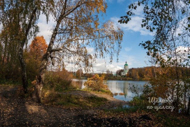 Осень в Гребнево🍂  Давно тут..