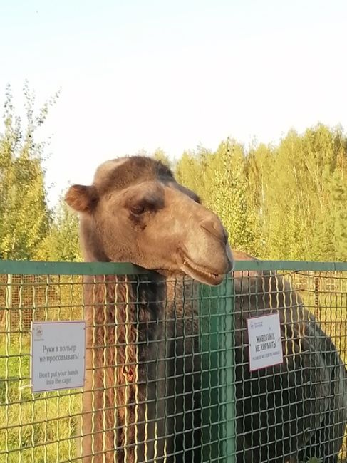 Закат сегодня🤗  Вечерний фоточат, кидайте в комментарии последние фотографии, которые сделали на..