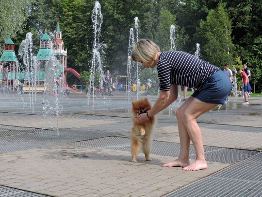 Всем рассветное доброе утро!..