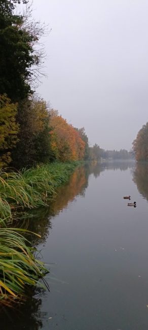 Краски осени на Парковой🍁  А у вам удалось снять яркие фото осени на..