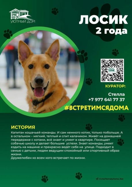 Реабилитационный центр Зоодом!  ⚡⚡⚡  Ну что, друзья?! Мы вновь с приглашением встретиться с нами и нашими..