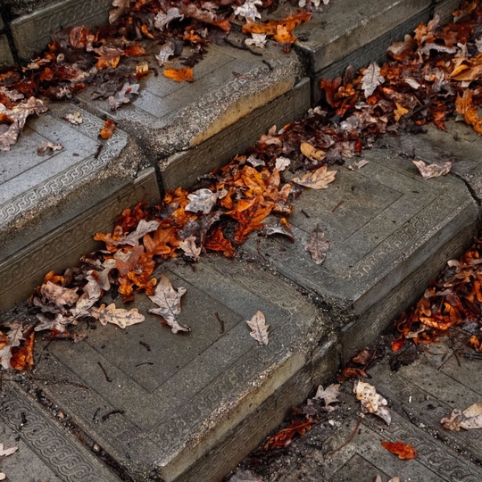 Доброго осеннего утра и пасмурных Химок всем в ленту 🍂  Фото - ShiroKopeyka..