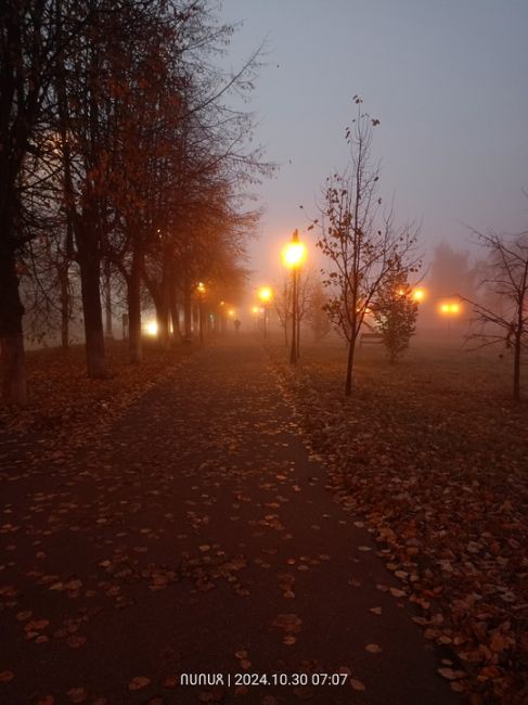 Сегодня в городе туман. Чувствовал себя ёжиком...