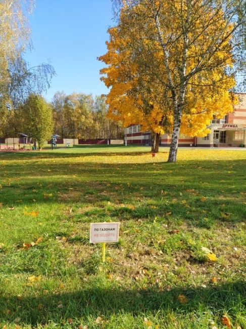 Стадион Дружба в одноимённом микрорайоне - безопасное, солнечное место. Почему, на каком основании на его..