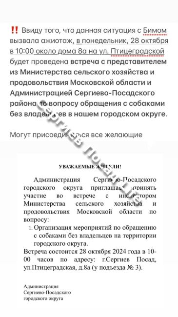 ‼ В понедельник, 21 октября 2024 года на меня и мою собаку корги напал пёс Бим, о котором недавно выкладывали..