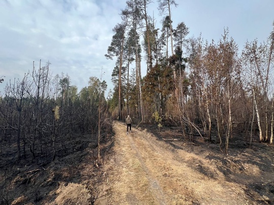 ПОЖАРИЖЕ 🔥
Марина
Последствия недавнего поджога в "самом зеленом" городе. Планов по восстановлению..