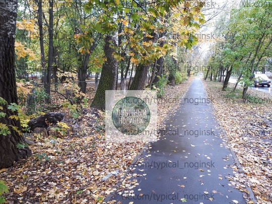 Московская область, Электросталь, улица Пушкина, 32 
Зелёная зона вдоль тротуара (с обеих сторон от тротуара,..