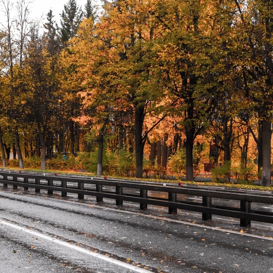 Доброго осеннего утра и пасмурных Химок всем в ленту 🍂  Фото - ShiroKopeyka..