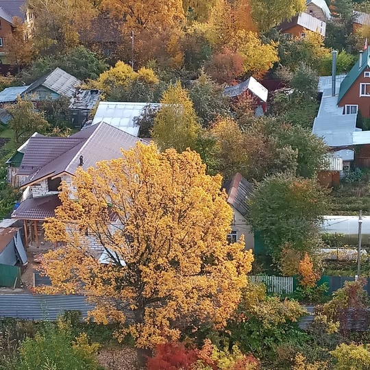 Осень Красногорска ❤️
Всем хорошего глинтвейного..