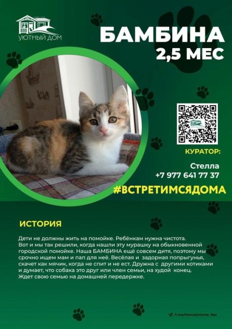 Реабилитационный центр Зоодом!  ⚡⚡⚡  Ну что, друзья?! Мы вновь с приглашением встретиться с нами и нашими..