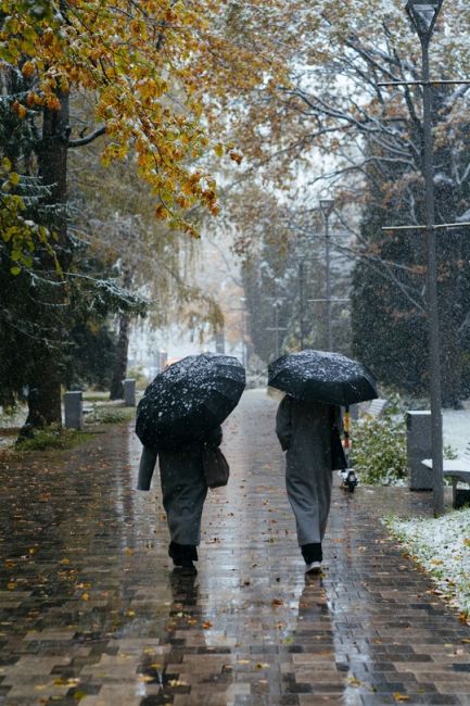 Моменты вчерашнего снегопада в парке Толстого..