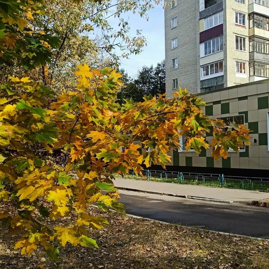 🍁 НАША БАЛАШИХА 🍂 
📸Марина..