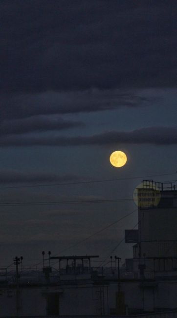 🌕 Полная Луна появилась в небе над Химками  Сегодняшнее полнолуние совпало с перигеем, когда спутник Земли..