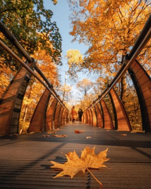 🍂ВДНХ в осенних красках.  Фото:..