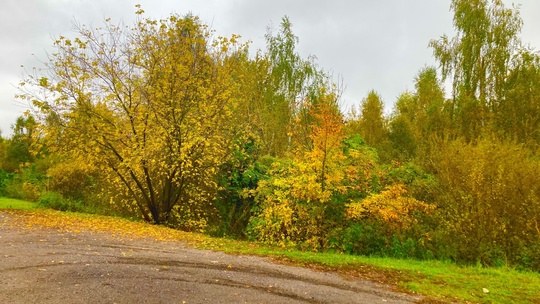 Город Железнодорожный.Осень.
📸Ярослав..