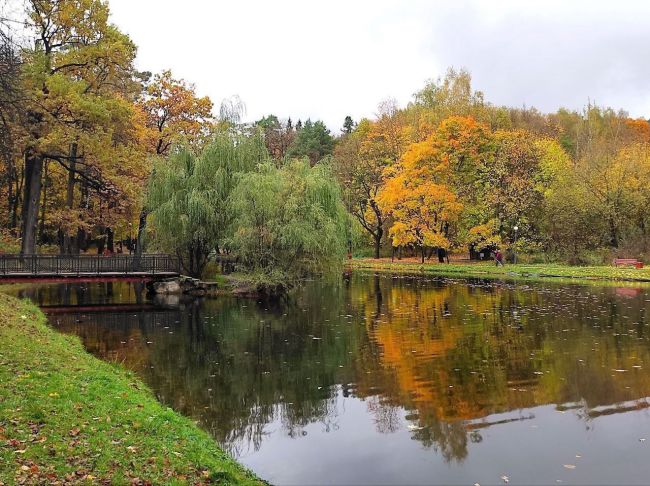 🍃Яркие осенние оттенки в красногорском городском парке.  📸Автор фото: Вячеслав..