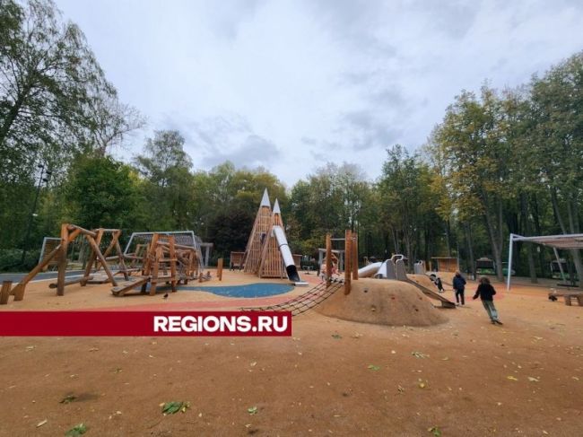 Робокафе и перевернутый дом появится в Парке Мира  В Мытищах благоустраивают зеленые зоны и популярные у..