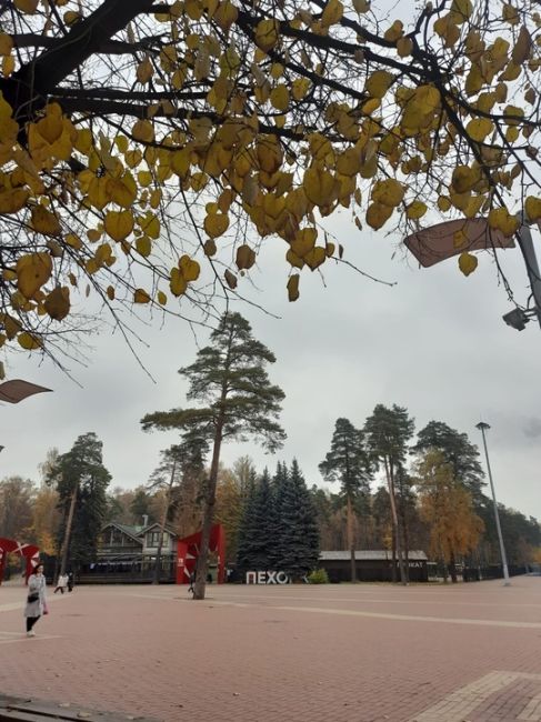 ОСЕННИЙ ДЕНЬ 🍁 В..