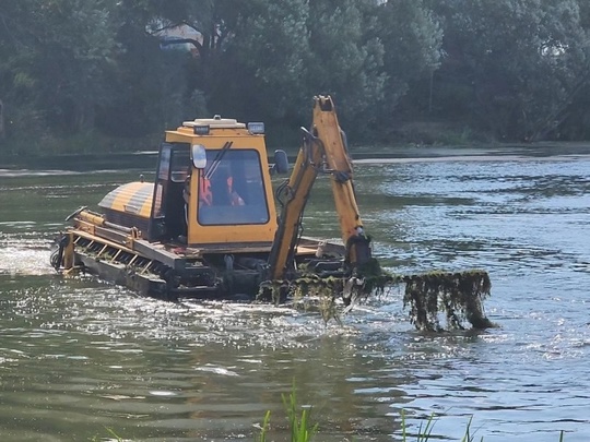 Жители Ленинского округа смогут выбрать пруд для очистки в 2025 году.  Жители Ленинского городского округа..