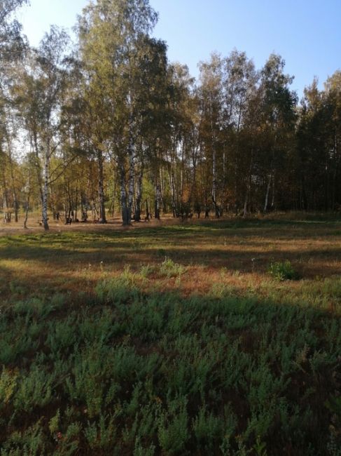 Люди, добрые. Объясните мне пожалуйста, на каком основании сотрудники ГУИН, проводят свои занятия с собаками..