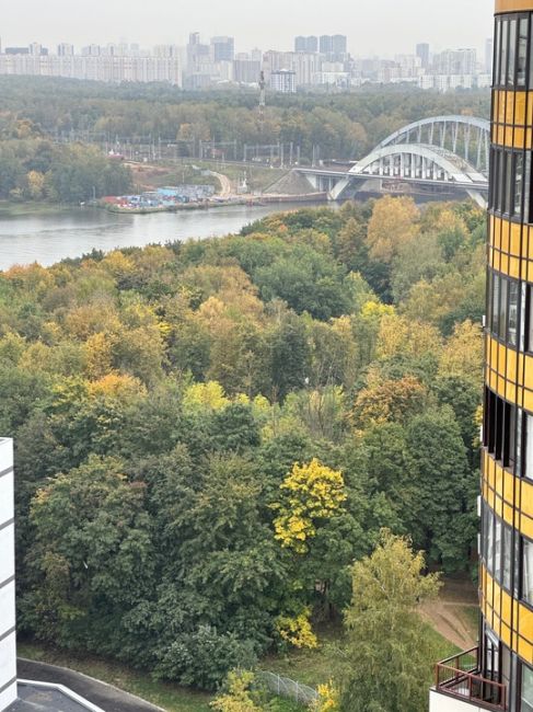 🍂🍁 Желтеет все потихоньку, осень вступает в свои права!
С добрым утром и с выходными..