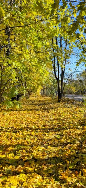 Какой прекрасный октябрь 🍁 🍂..