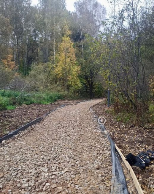 В Подушкинском лесу, со стороны улицы Говорова, продолжаются работы по обустройству лесных дорожек..