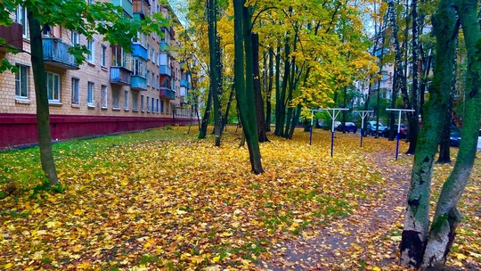 Город Железнодорожный.Осень.
📸Ярослав..