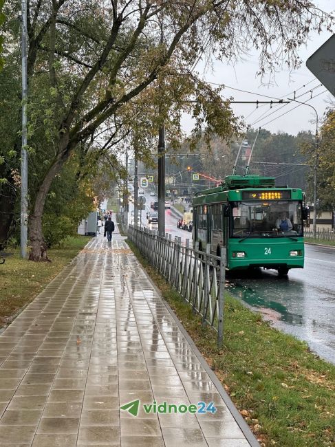 В Видное пришла осень 2..