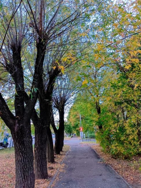 Осень в городе..