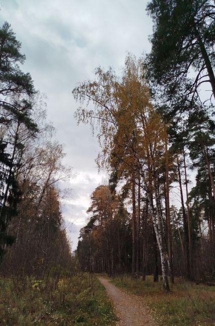 Эта дорога ведет к выходным!
Хорошего вечера, Ногинск.  Фото Марины..