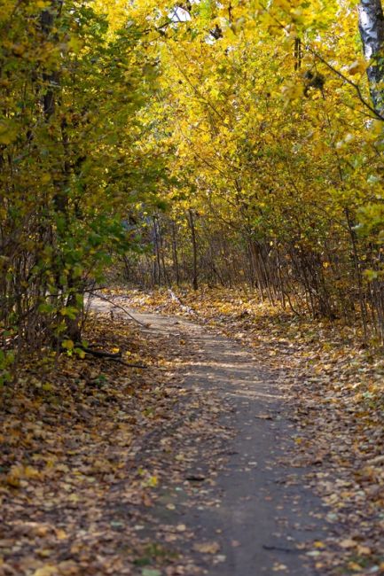 Солнечный день в Лосином..