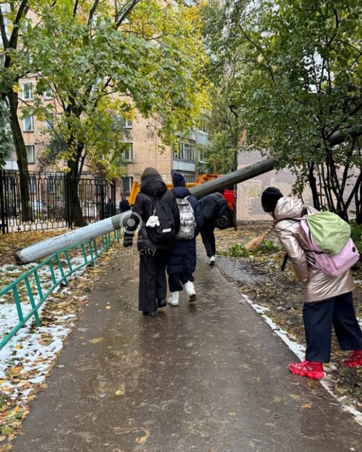 Столбы, впрочем, тоже офонарели от таких сюрпризов погоды..