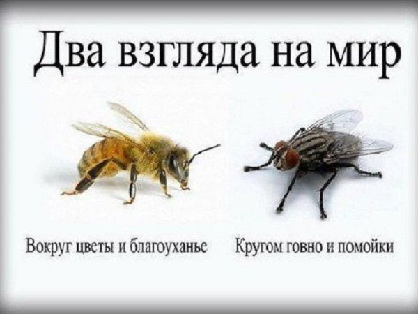 В ЖК «Дом на Баковке» один из жильцов организовал парковку для мотоциклов при входе в подъезд 🏍️  Об этом..