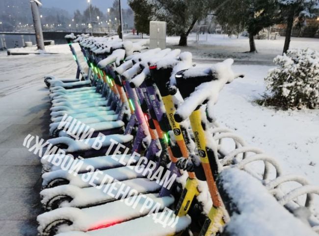 🛴Самокаты сгрустнули в 15-м мкр, из-за плохой погоды  ТГК Живой..