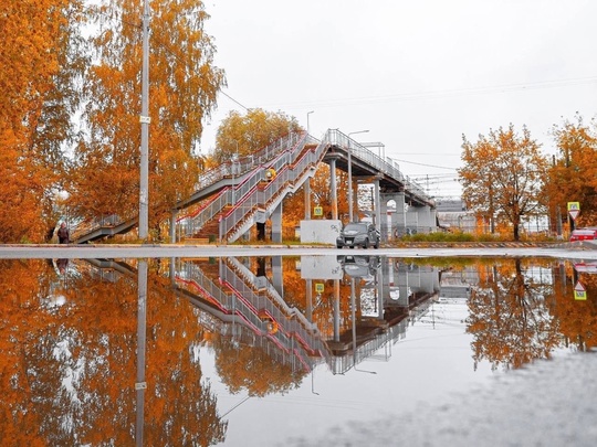 Осень в городе 🍂  📸Михаил..