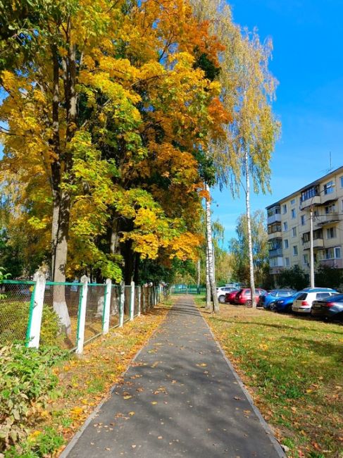 Осень в городе..