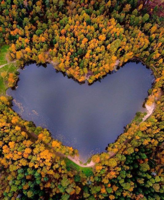 Красивые озёра Подмосковья ❤
Хорошего вечера,..