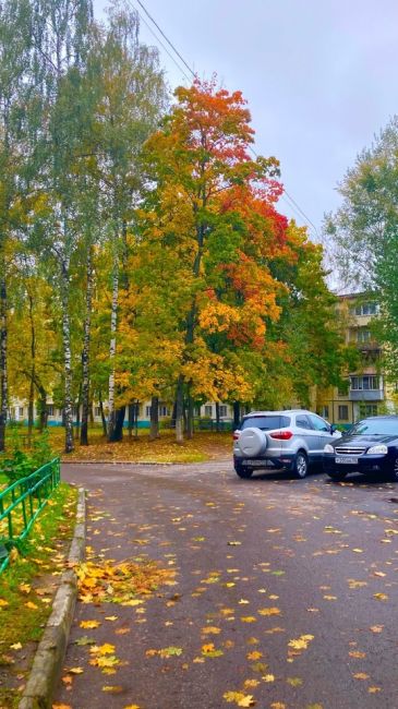 Город Железнодорожный.Осень.
📸Ярослав..