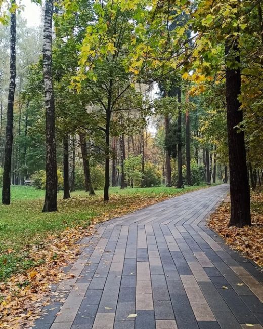 🍁 НАША БАЛАШИХА 🍂 
📸Марина..