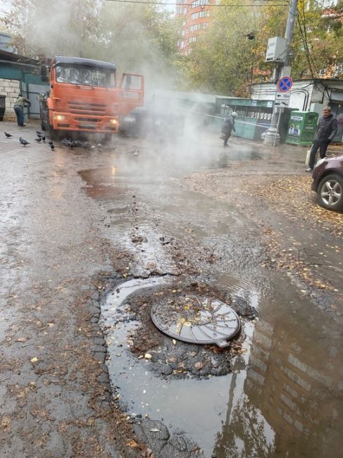 Осенний ковёр на Московской..