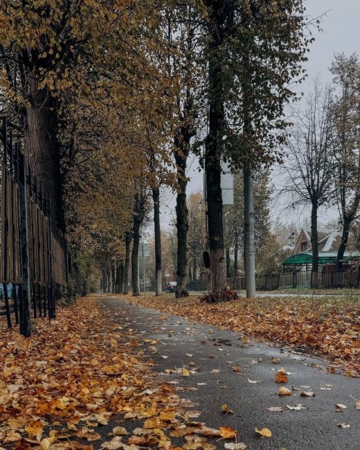 Осень в городе🍁..