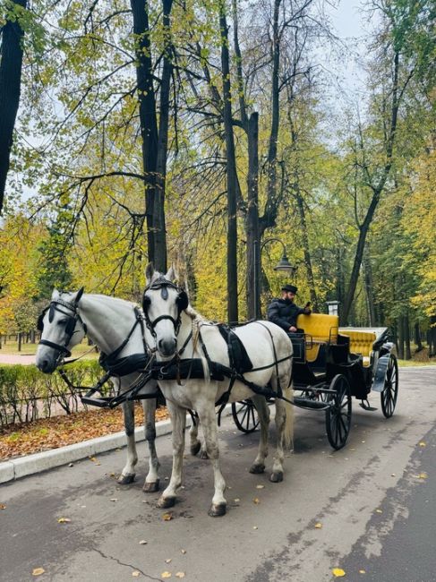 Типичный Красногорск..