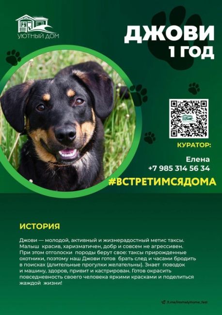 Реабилитационный центр Зоодом!  ⚡⚡⚡  Ну что, друзья?! Мы вновь с приглашением встретиться с нами и нашими..