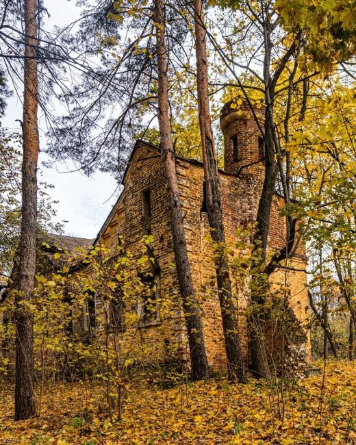 На моих фото осенняя усадьба Суханово, родовое имение князей..