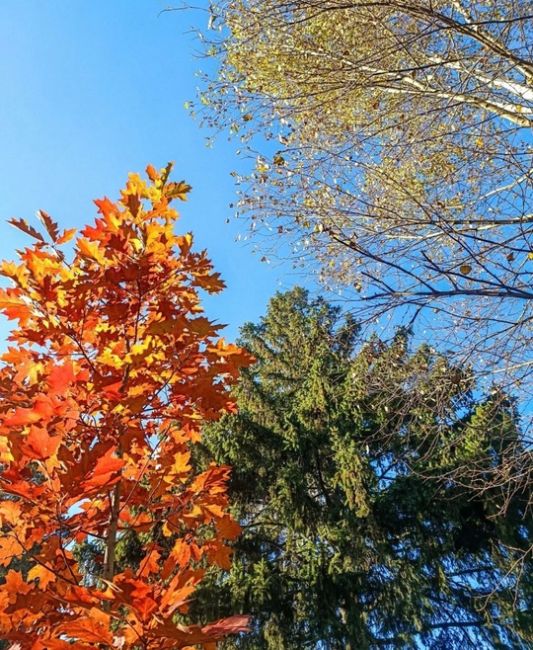 Какой прекрасный октябрь 🍁 🍂..