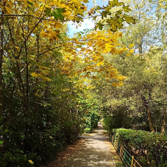 🍁 НАША БАЛАШИХА 🍂 
📸Марина..