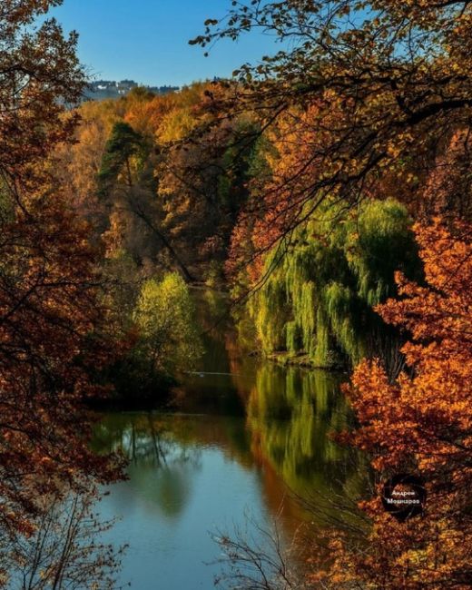 Золотая осень в Царицыно. 
Фото:..