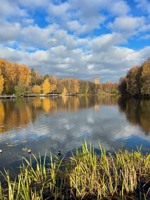 ДОБРОЕ УТРО ❤️ БАЛАШИХА
Хорошего настроения!
Фото Наталья Светлова
Кстати, сегодня возможен дождь!
Не..